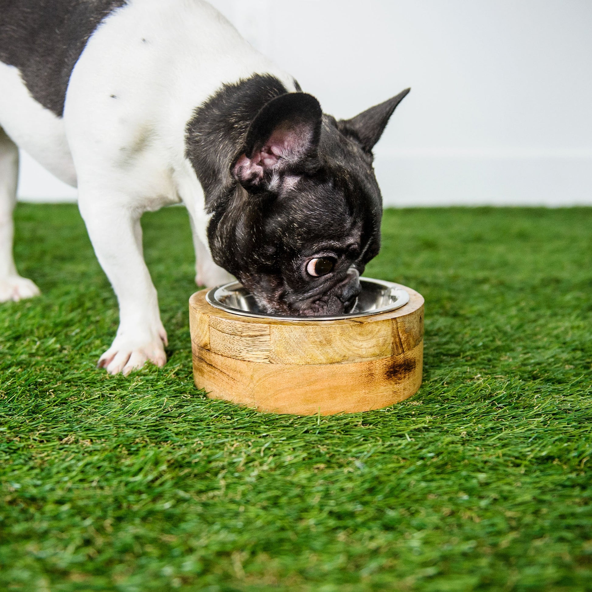 Mango Wood Pet Bowls Feeders & Waterers - Home & Garden