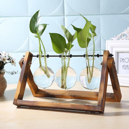 Natural Pure Glass and Wood Vases Planter