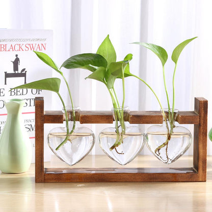 Natural Pure Glass and Wood Vases Planter