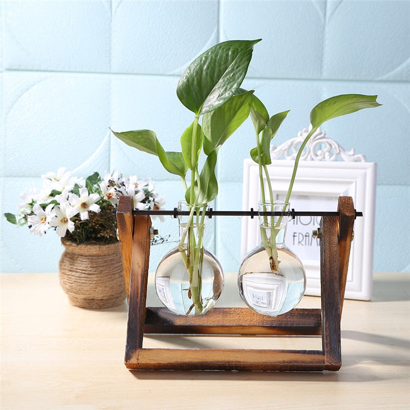 Natural Pure Glass and Wood Vases Planter - M / Wood