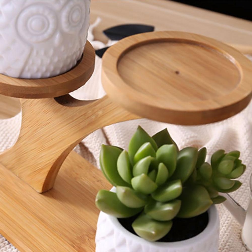 Succulent Bamboo Pots & Planters Shelf - Home & Garden