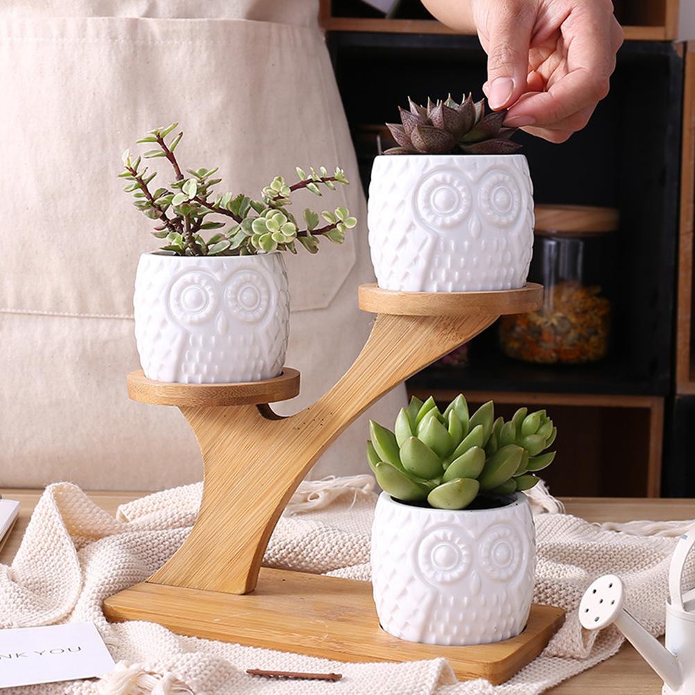 Succulent Bamboo Pots & Planters Shelf - Home & Garden