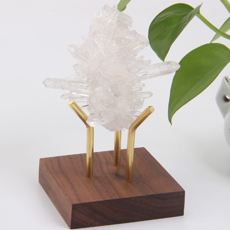 Wood Gem Crystal Display Home Decor - Home & Garden